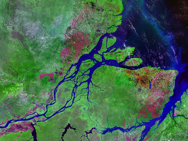Спутниковый снимок устья Амазонки